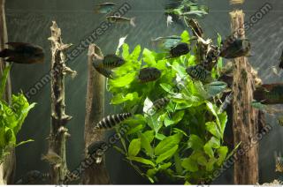 Photo of Mixed Textures